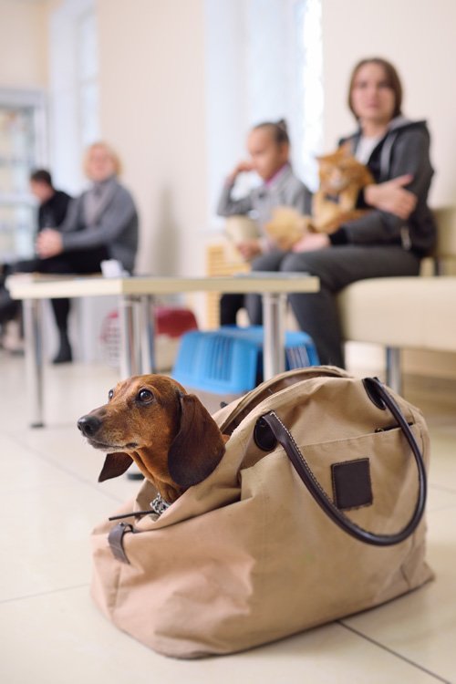 व ट ए ड ड ग
